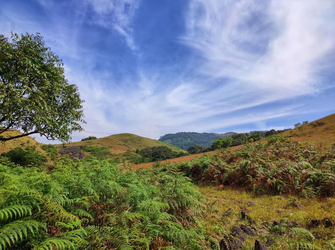 Narasimha Parvatha Trek karnataka