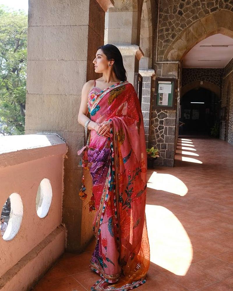 Sara Ali Khan’s Multi Coloured Saree Look