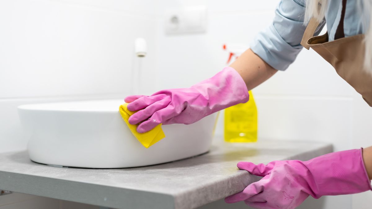 Shine Faucet Fixtures at home