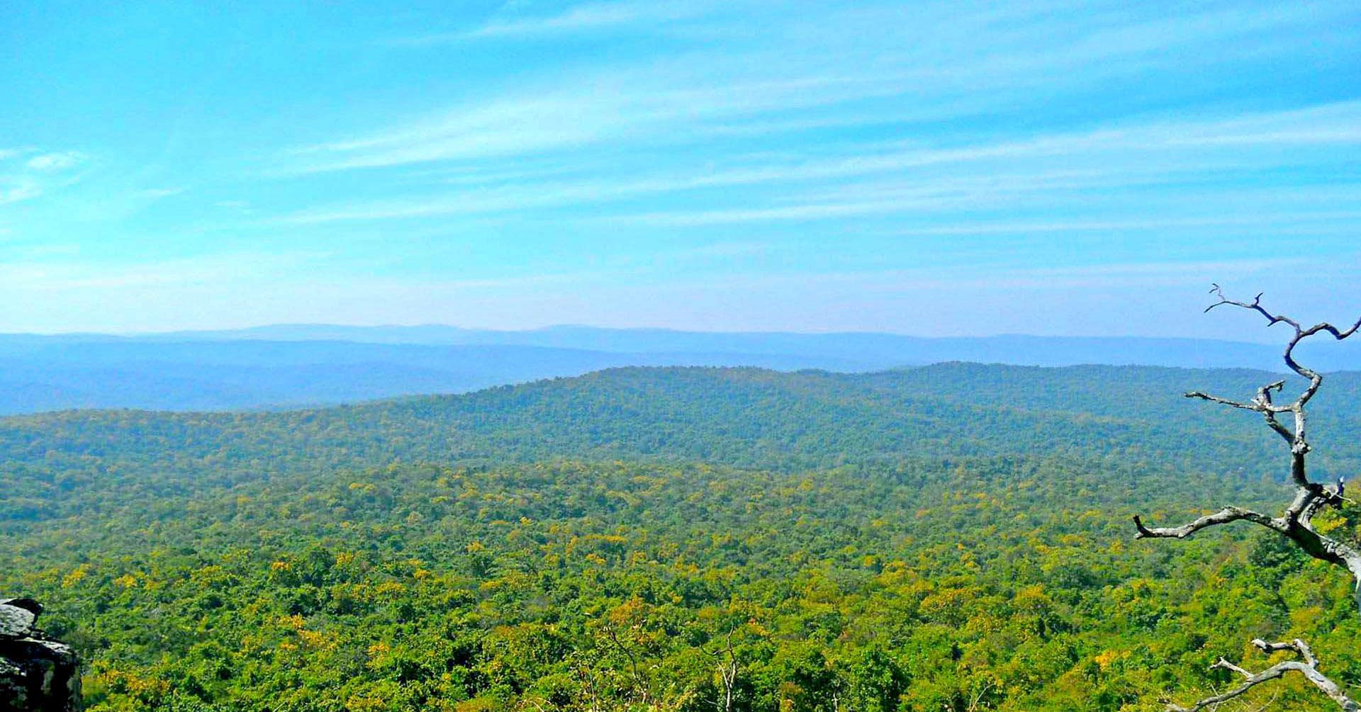 Where is Daringbadi in Odisha