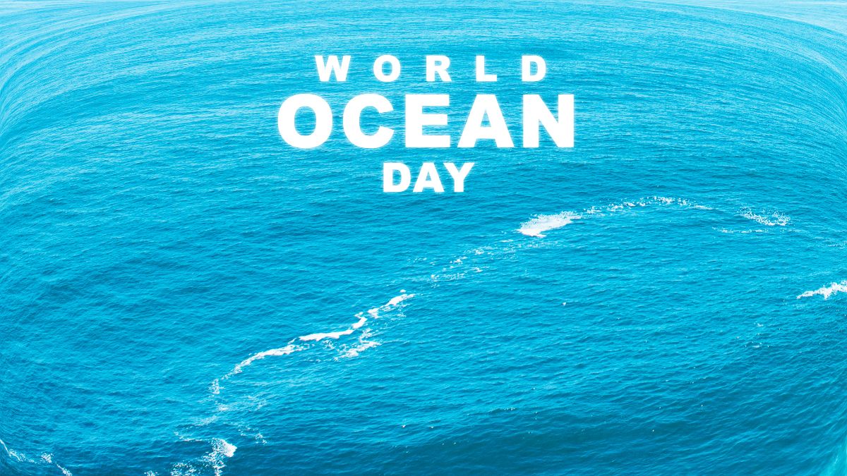 World Oceans Day 2024: Know The Date, Significance, And More 