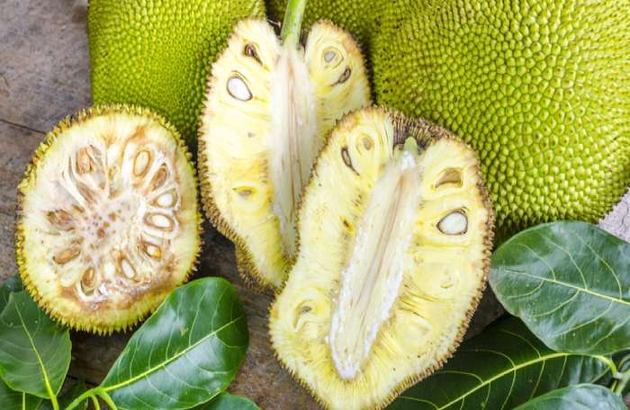 benefits of jackfruit