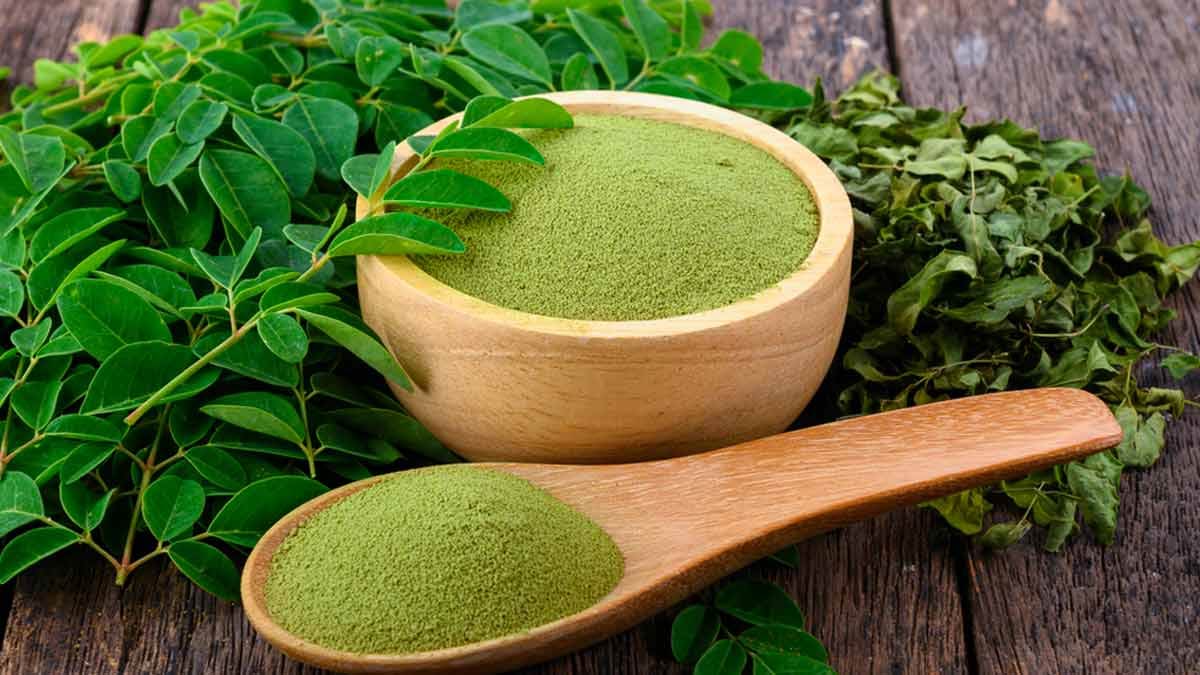 Moringa Leaves Health Benefits | HerZindagi