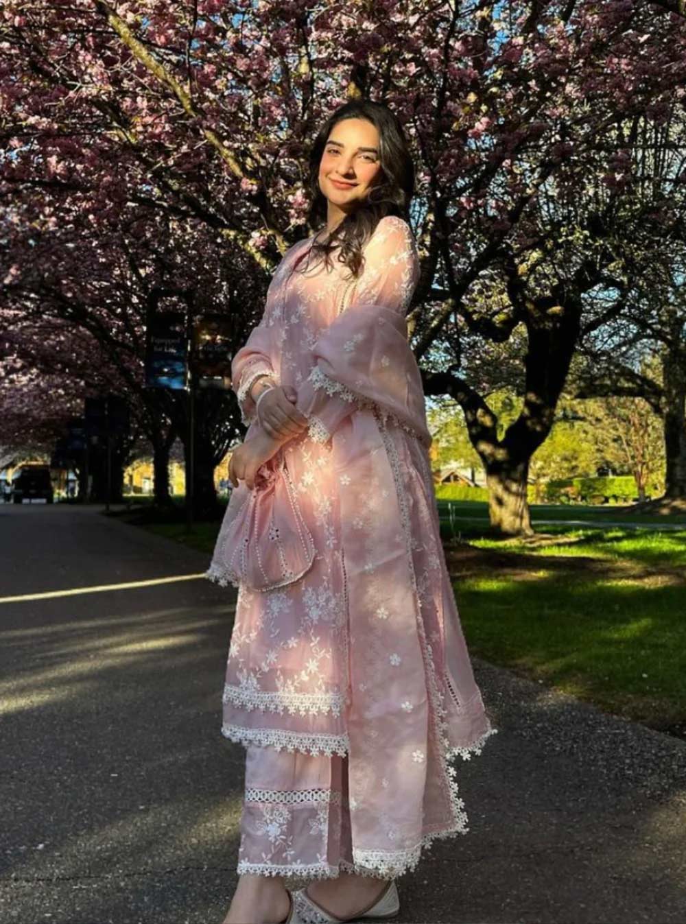 chikankari organza suit