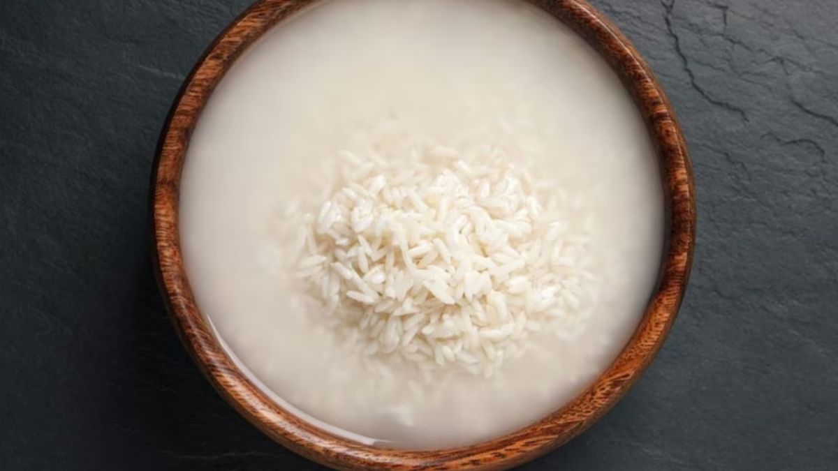 கஞ்சி தண்ணீரை வைத்து ஆரோக்கியமாக முறையில் எடை குறைக்கலாம் | ways cooked