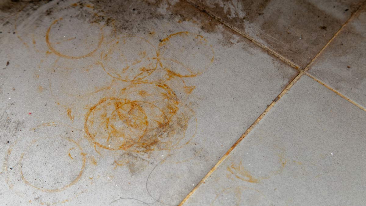 मार्बल के टेरेस गार्डन में पड़ गए हैं गमलों के निशान तो फटाफट ऐसे करें