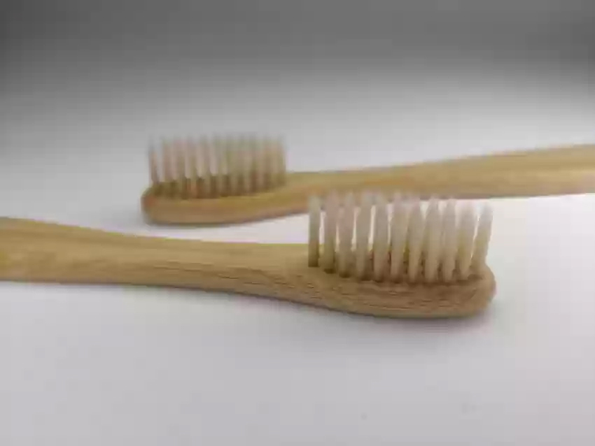 know about toothbrush history