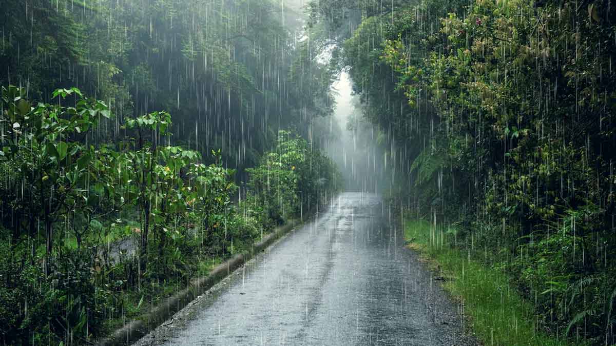 Monsoon Vs. Rainy Season: Understanding The Key Differences | HerZindagi