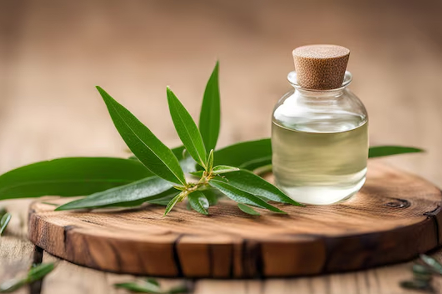 tea tree oil for feet infection