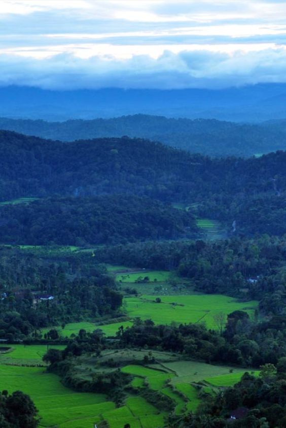 Coorg, Karnataka spring description