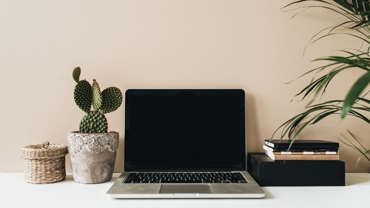 Do Not Keep Cactus Plant On Office Desk