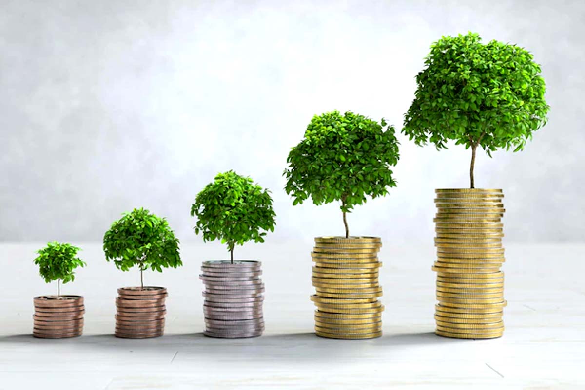 How can I check my PF balance in Umang app