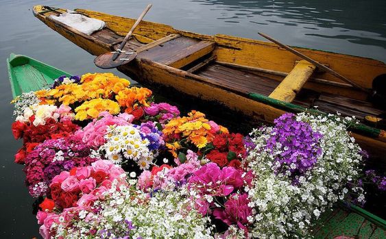 Kashmir spring destination