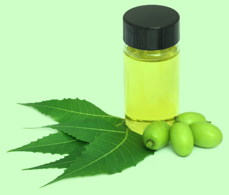 Neem leaves oil benefits