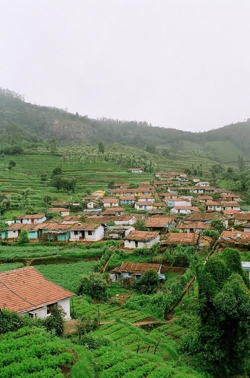 Ooty, Tamil Nadu spring destination
