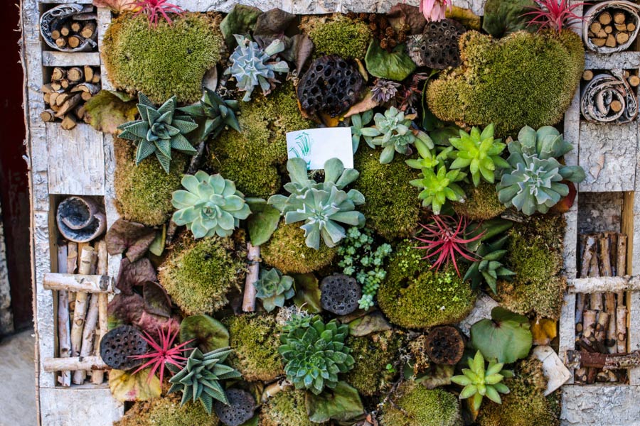 Succulent Vertical Garden