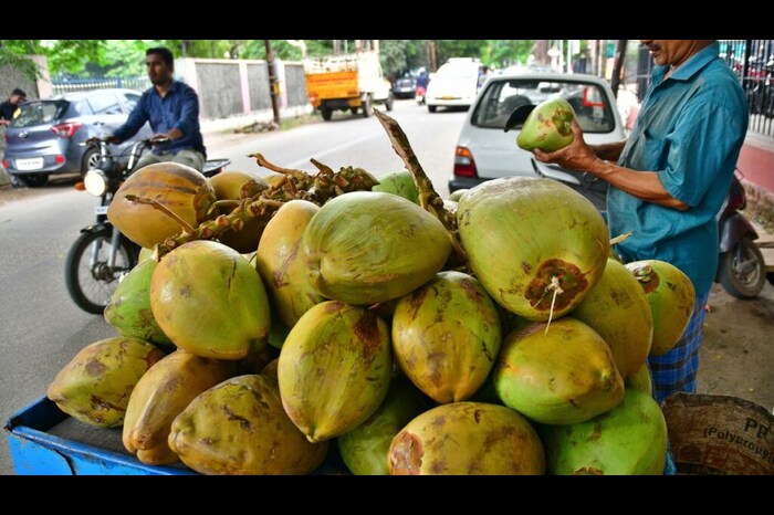 Summer health benefits of young coconut water 