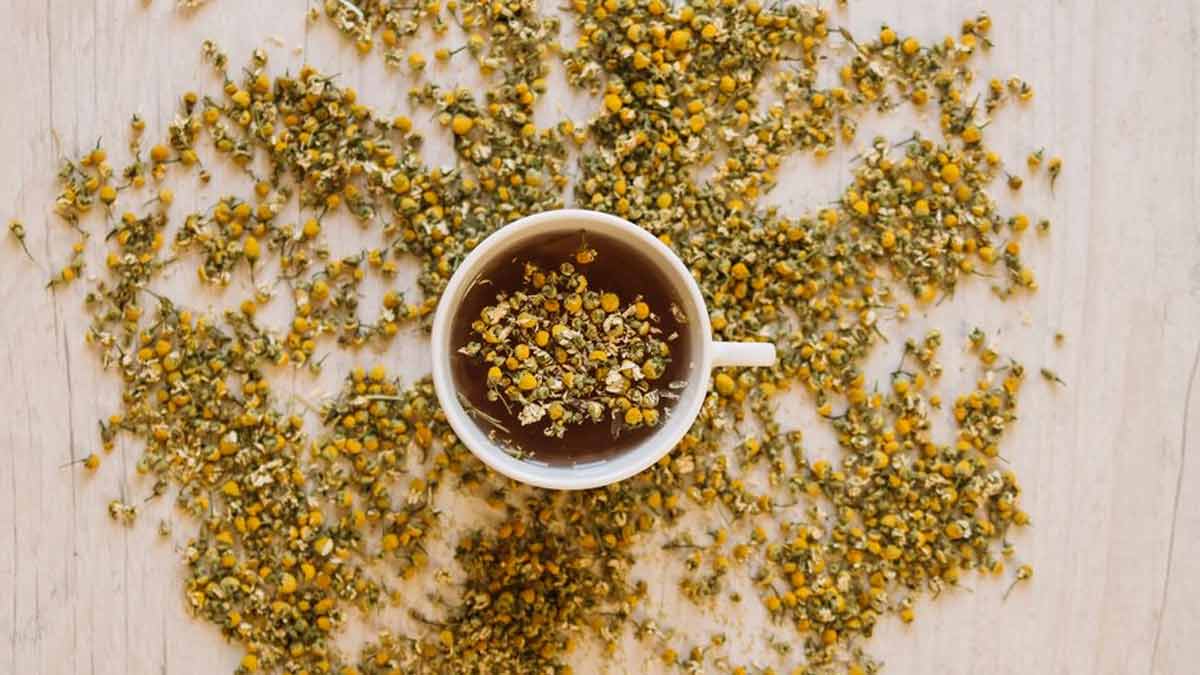 Benefits Of Buckwheat Tea HerZindagi