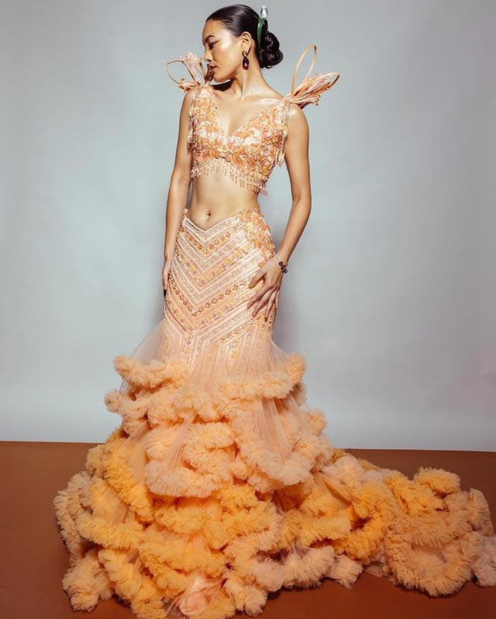 V Neck Frill Blouse Design