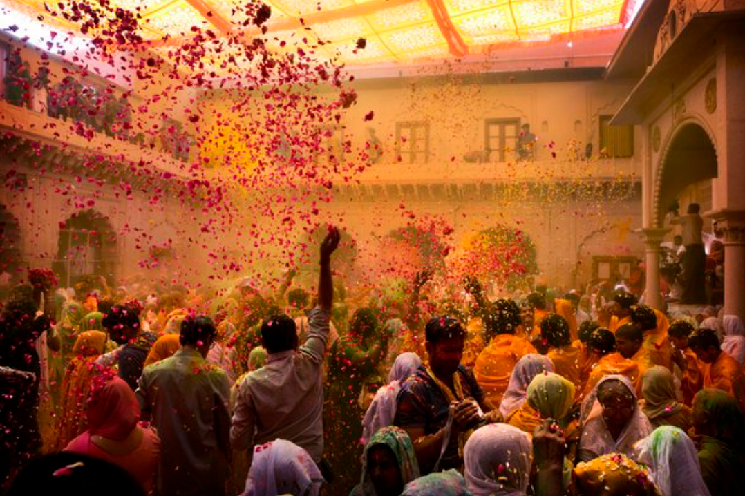 Vrindavan Holi  widow