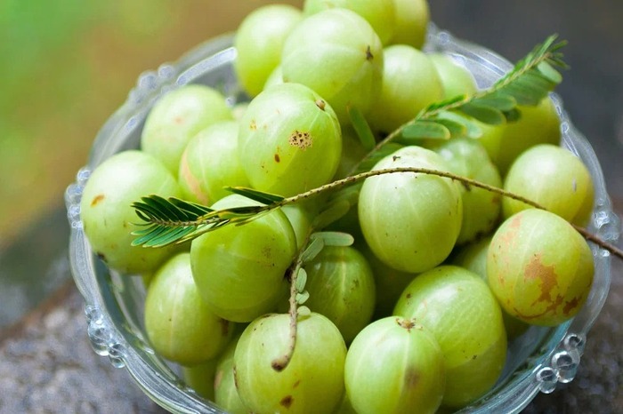 WhatsApp Image    at .