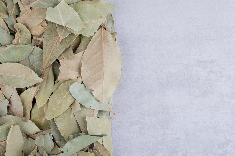 इस सूखे हुए पत्ते का पानी पीने से सेहत को मिलते हैं जबरदस्त फायदे