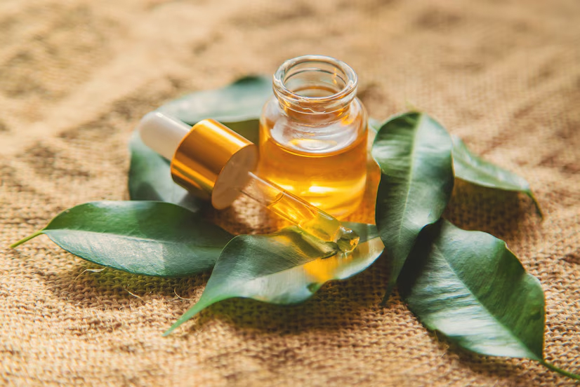 benefits of tea tree oil