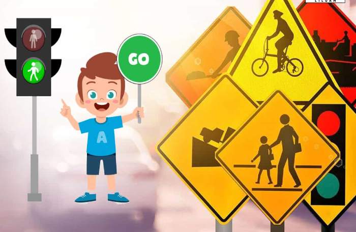 essential road saafety rules ()