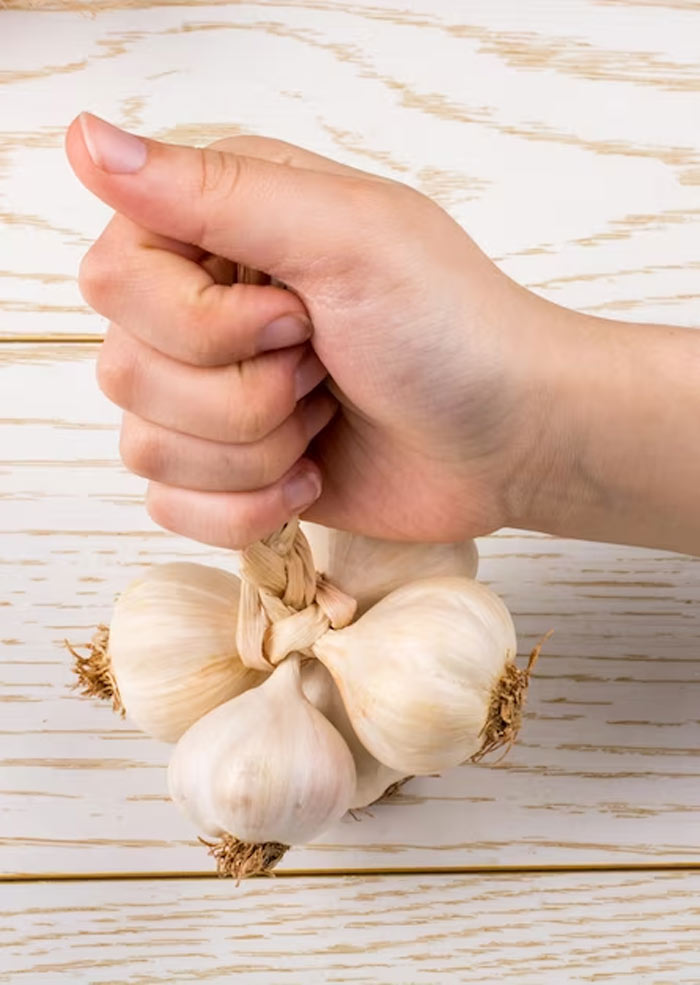 garlic skin