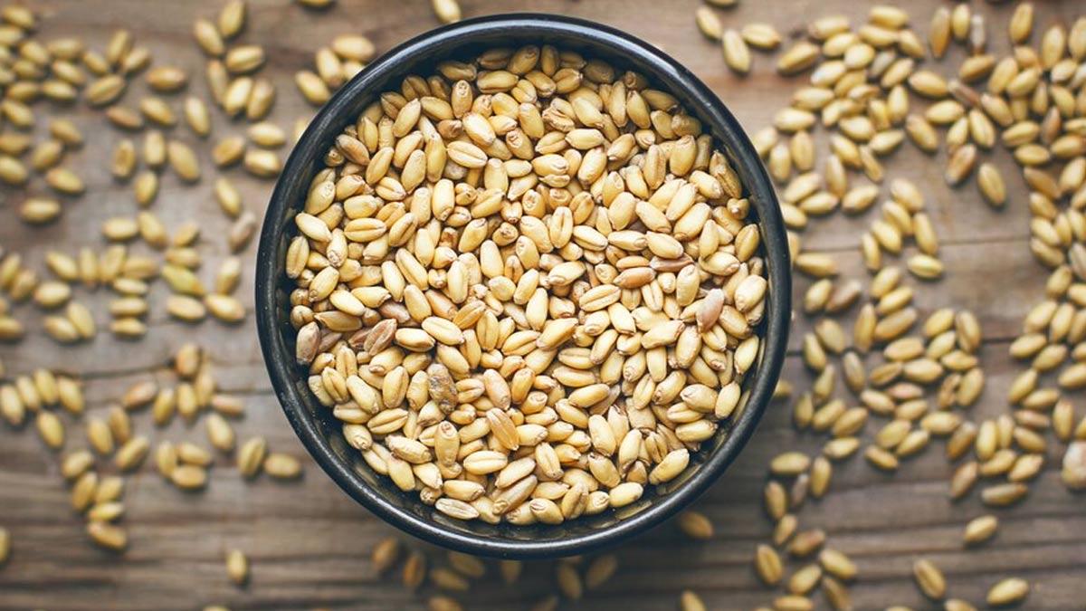 grain storage tips in hindi