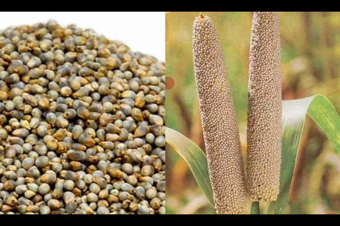 health benefits of drinking kambu koozh in summer 