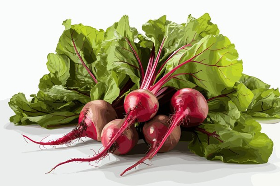 how to make natural holi colour with chukandar