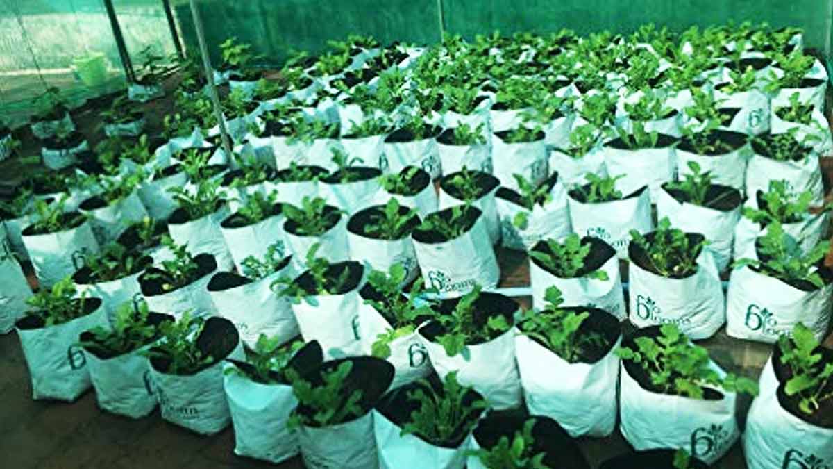 how to reuse plastic nirma packets