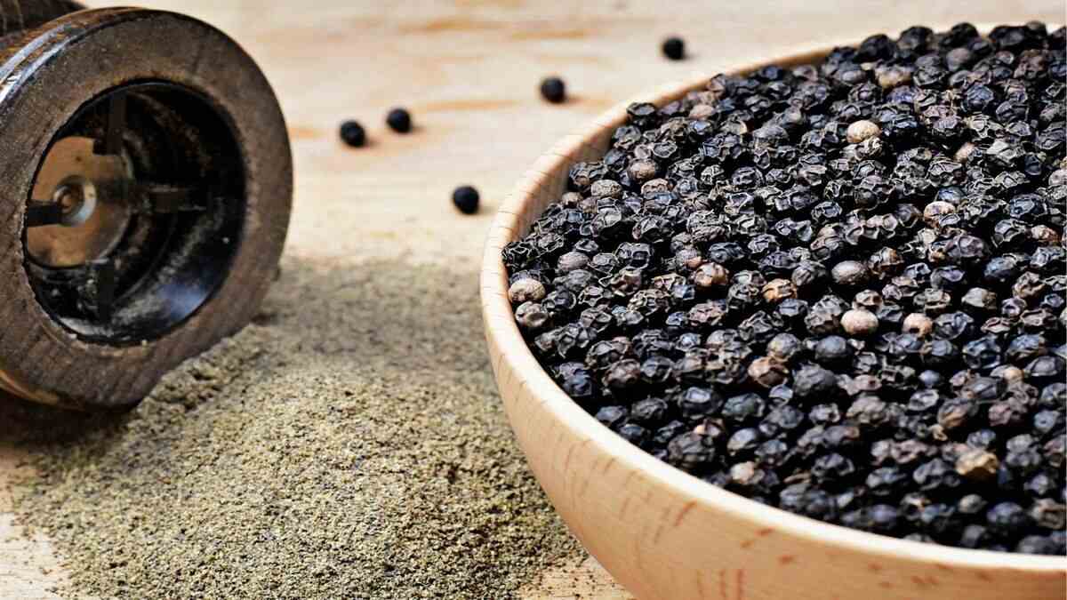 Black Pepper Benefits கருப்பு மிளகின் ஆரோக்கிய நன்மைகள் medicinal