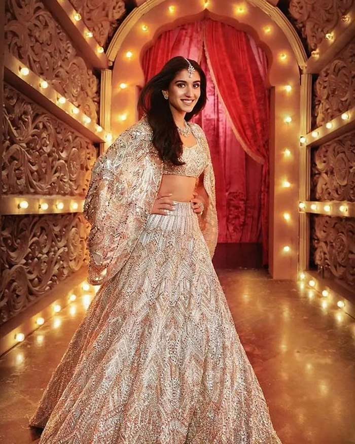 radhika merchant trolled anant ambani called names