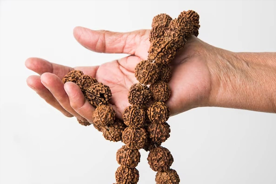 rudraksha in dreams
