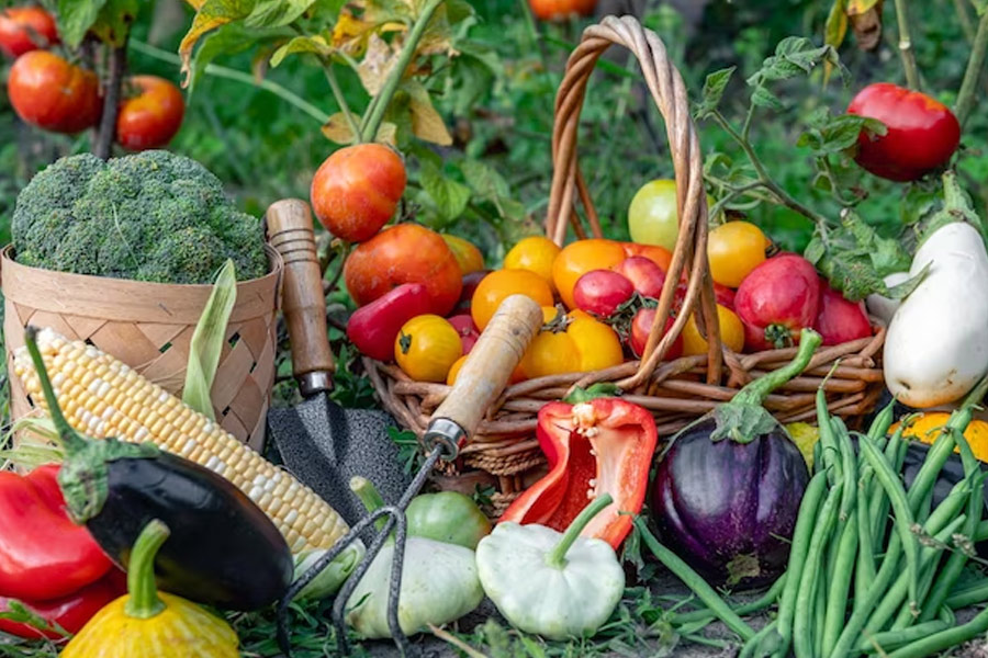 summer seasonal vegetable list