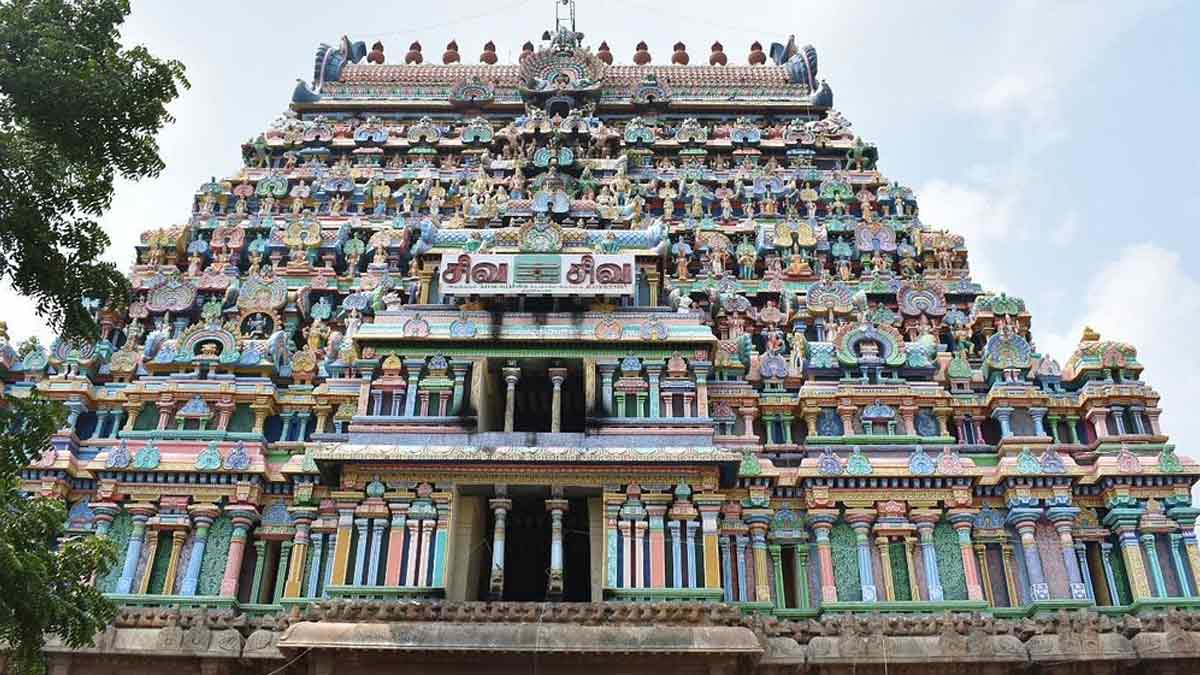 திருவாரூர் மாவட்டத்தில் அனைவரும் ரசிக்க வேண்டிய சுற்றுலா இடங்கள் | top ...