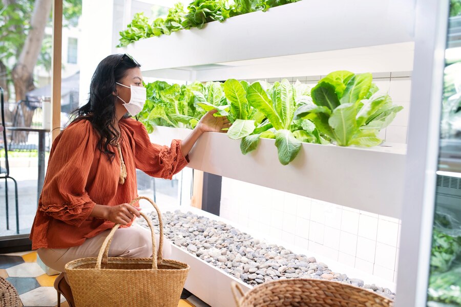 to grow vegetable and fruits in small spaces