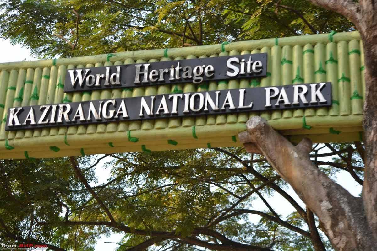unesco Kaziranga National Park