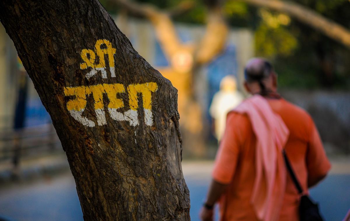 why all trees in vrindavan are crooked hindi mein