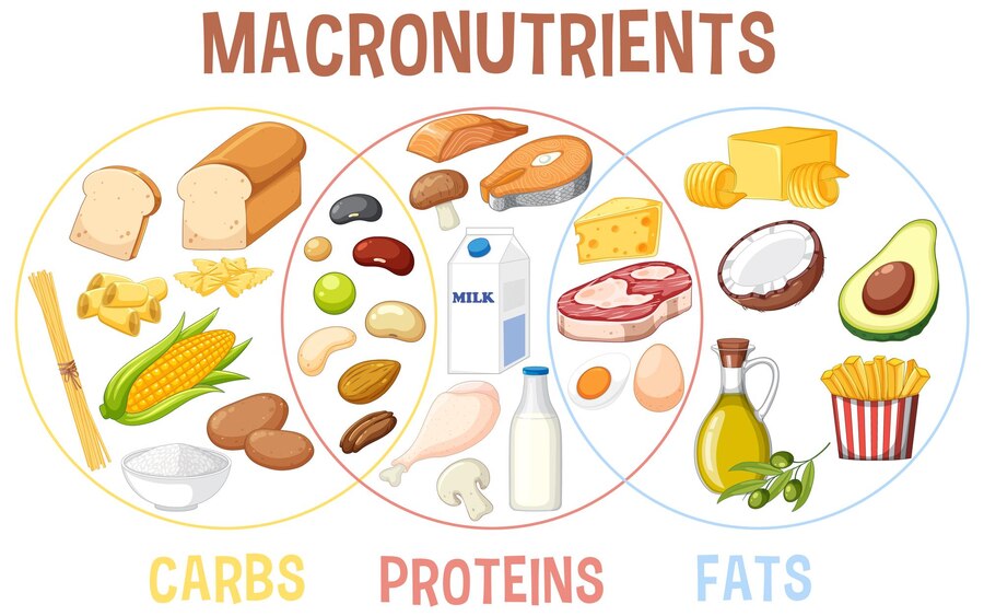  month diet plan bride to be Macronutrients