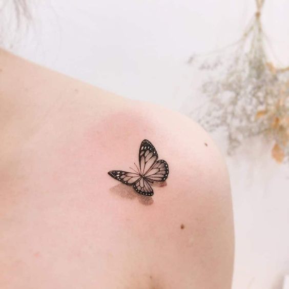 D BUtterfly tattoo design