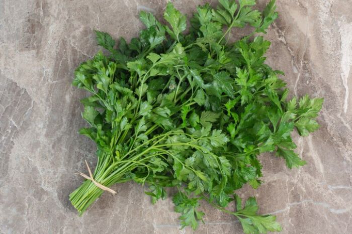 Coriander Leaf inside 