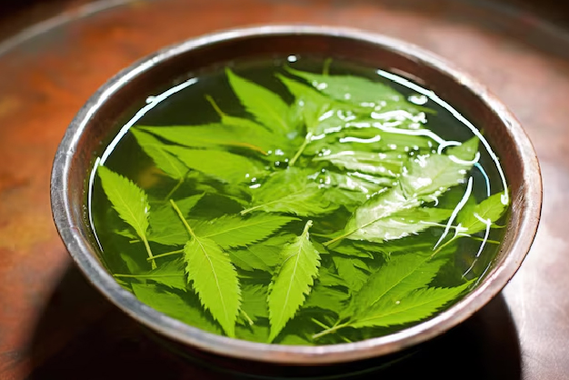 Home remedies to prevent heat stroke,