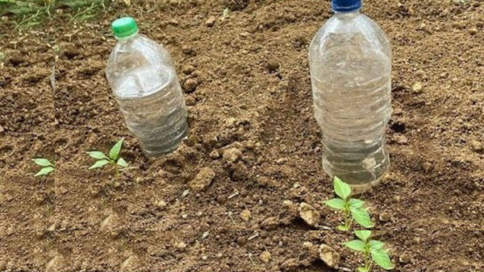 How To Keep Water Cool Without Matka