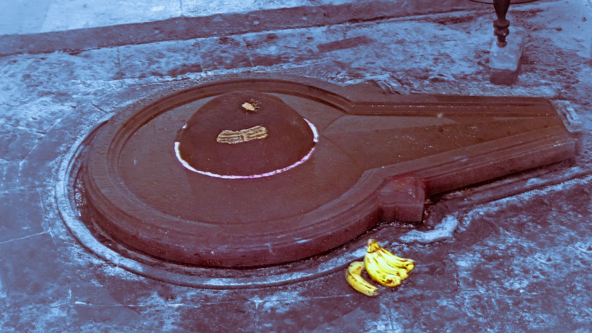 Katha Of Lord Shiva, Maa Parvati And Two Pigeons