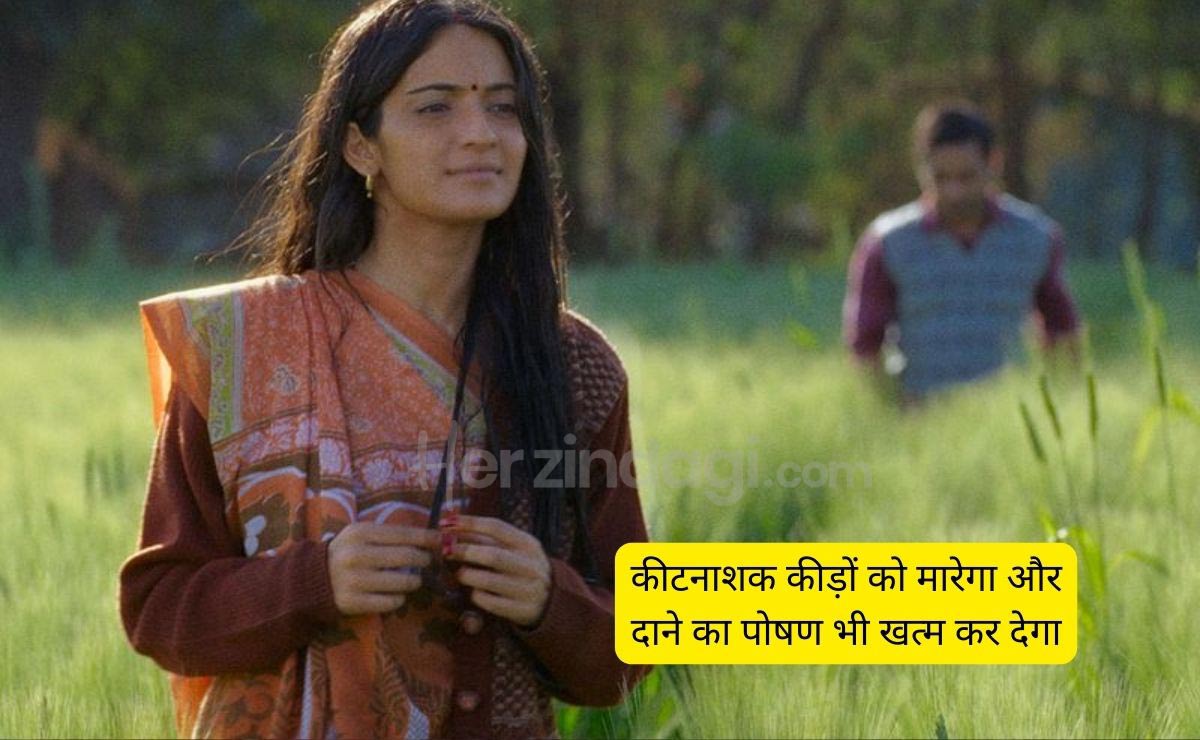 Laapata Ladies Jaya dialogue