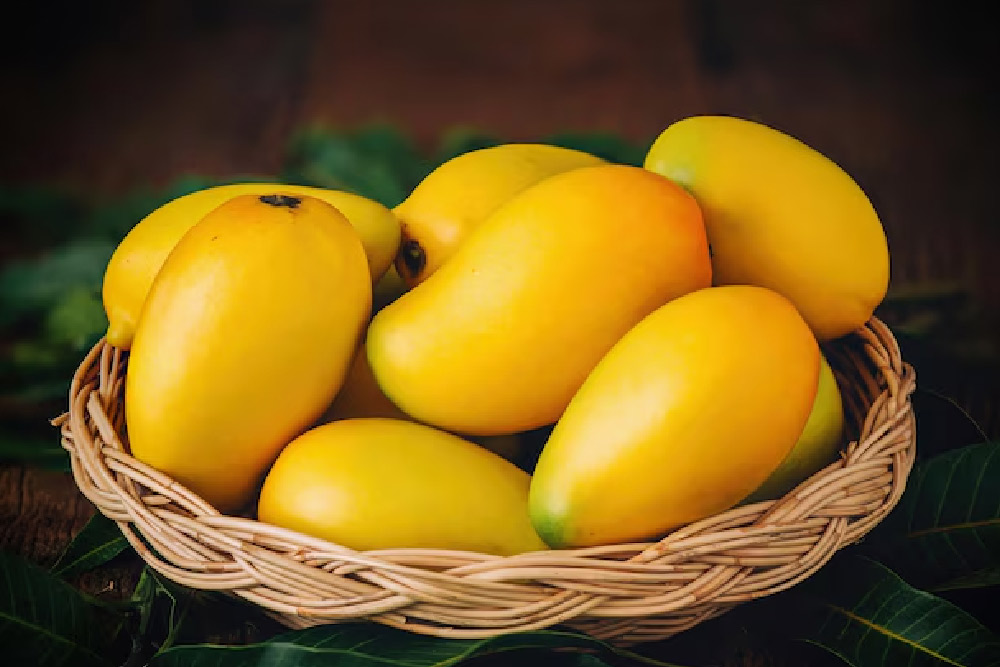 Mango recipes for women