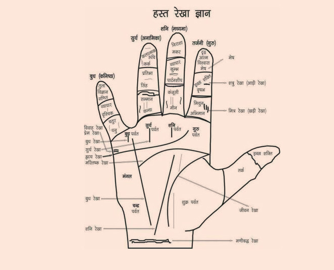 Money Line In Female Hand for You